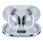 CRZY EARBUDS